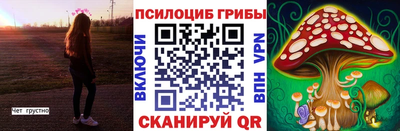где продают   Котовск  Псилоцибиновые грибы GOLDEN TEACHER 
